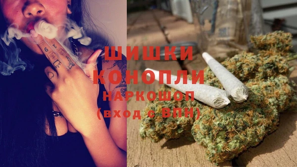 шишки Богородицк